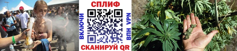 Конопля тримм  Избербаш 